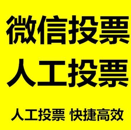 陕西省微信刷票怎么投票